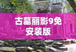 古墓丽影9免安装版