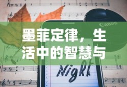 墨菲定律，生活中的智慧与警示的启示
