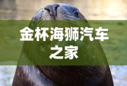 金杯海狮汽车之家