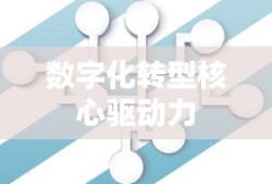 大数据技术与应用，数字化转型的核心驱动力