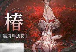 鸣潮2.2版本椿值得抽吗 新版本5星角色椿抽取建议