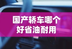 国产轿车哪个好省油耐用