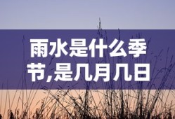 雨水是什么季节,是几月几日