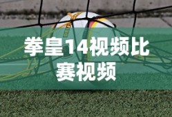 拳皇14视频比赛视频