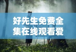 好先生免费全集在线观看爱奇艺