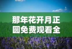 那年花开月正圆免费观看全集