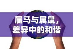 一万元左右电动四轮车需要驾照吗