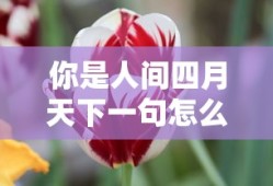 你是人间四月天下一句怎么接