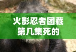 火影忍者团藏第几集死的