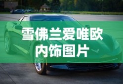 雪佛兰爱唯欧内饰图片