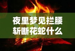 夜里梦见拦腰斩断花蛇什么意思