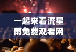 一起来看流星雨免费观看网站