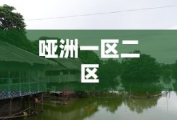 哑洲一区二区