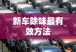 新车除味最有效方法