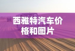 西雅特汽车价格和图片