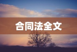合同法全文