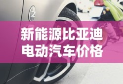 新能源比亚迪电动汽车价格及图片秦