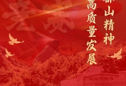 百万盟，共创辉煌的力量之源