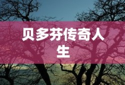 龙族幻想村雨攻略汇总