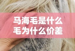 马海毛是什么毛为什么价差这么大