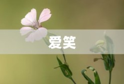 虚空幻界二刀流解锁