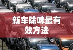 新车除味最有效方法
