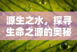 源生之水，探寻生命之源的奥秘，源生之水，揭秘生命之源的奥秘