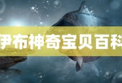 伊布神奇宝贝百科