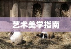 军统谍战剧大全免费观看播放