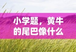 黄牛尾巴的奇妙之旅，一次生动的自然观察与想象体验