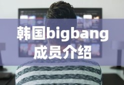 韩国bigbang成员介绍