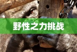 王者荣耀米莱狄出装铭文