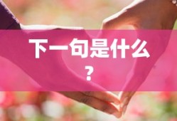 下一句是什么?