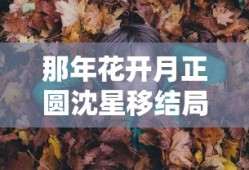 那年花开月正圆沈星移结局是什么