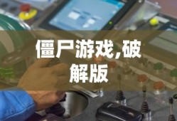 僵尸游戏,破解版