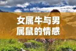 生肖配对下的情感探索，女属牛与男属鼠的合适性解析