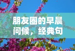 朋友圈经典早晨问候句子分享