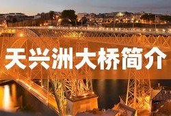 天兴洲大桥简介