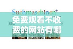 免费观看不收费的网站有哪些