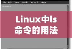 Linux中ls命令的用法详解