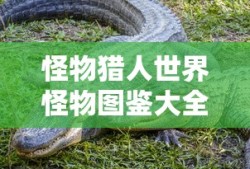 怪物猎人世界怪物图鉴大全