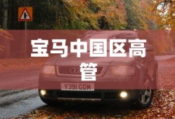宝马中国区高管