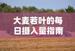三国志手游单机
