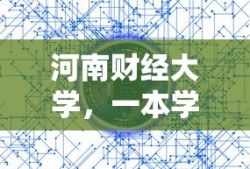河南财经大学，一本学府的探索与未来展望