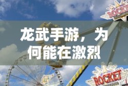 龙武手游，如何在激烈市场竞争中脱颖而出的？