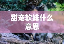 甜宠软妹什么意思