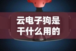 锐放定价