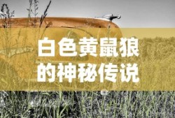 侠盗猎车手圣安地列斯作弊码大全