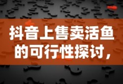 瑞星的进程，探索与成长之路