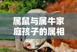 新手必玩棋牌手游，入门指南与推荐